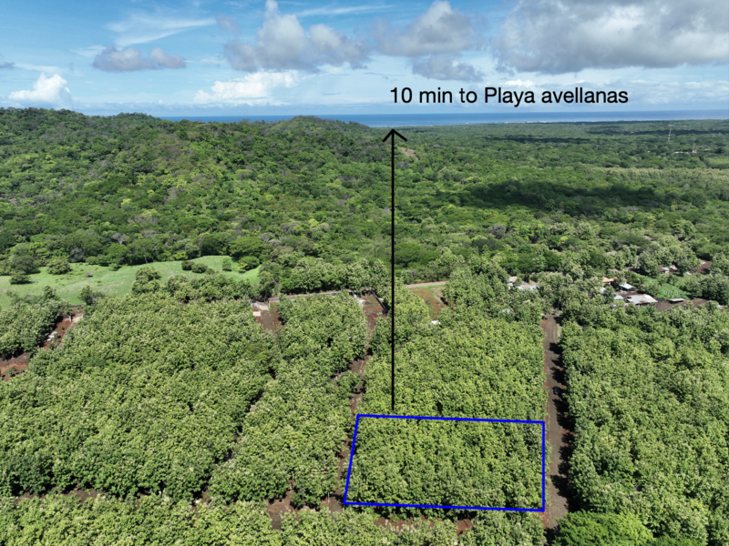 0 bed Land For Sale in Avellanas, Guanacaste - 1